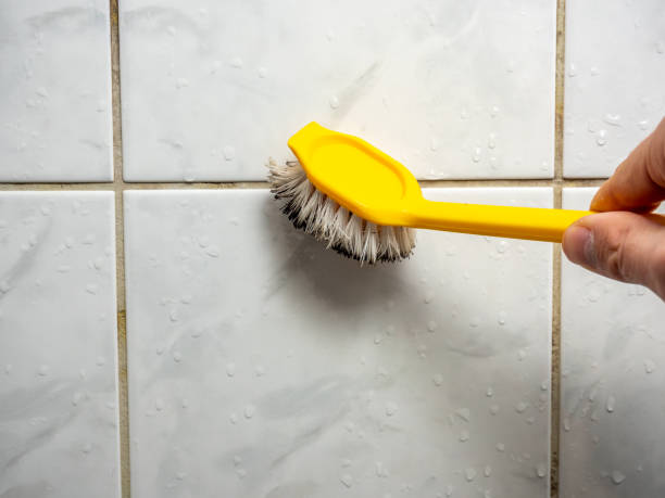 Best Mold Remediation for Schools in Brundidge, AL