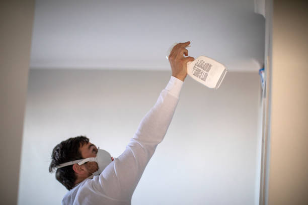 Best Kitchen Mold Remediation in Brundidge, AL