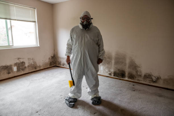 Best Commercial Mold Remediation in Brundidge, AL